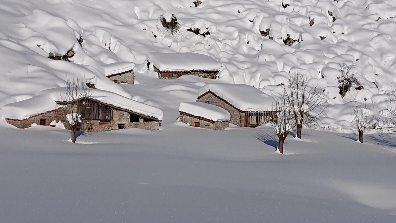 Casa Rural Las Fraguas Llanes, Gulpiyuri, Bufones 外观 照片